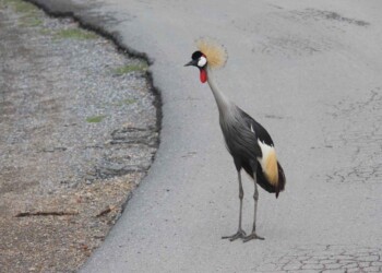 IN A WORLD AND A LIFE THAT MOVES SO FAST, PHOTOGRAPHY JUST MAKES THE SOUND GO OUT AND IT MAKES YOU STOP AND TAKE A PAUSE IN A WORLD AND A LIFE THAT MOVES SO FAST, PHOTOGRAPHY JUST MAKES THE SOUND GO OUT AND IT MAKES YOU STOP AND TAKE A PAUSE