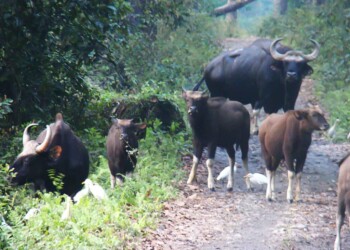 WHEN WORDS BECOME UNCLEAR, I SHALL FOCUS WITH PHOTOGRAPHS WHEN WORDS BECOME UNCLEAR, I SHALL FOCUS WITH PHOTOGRAPHS