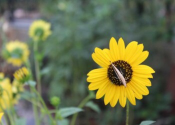 YOU’RE ONLY HERE FOR A SHORT VISIT. DON’T HURRY, DON’T WORRY YOU’RE ONLY HERE FOR A SHORT VISIT. DON’T HURRY, DON’T WORRY